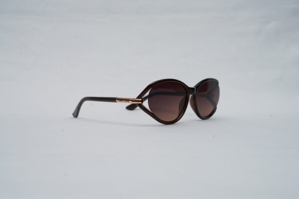 Tom Ford Full-Rim Rounded Sunglasses – Shiny Dark Brown with Brown Gradient Lenses