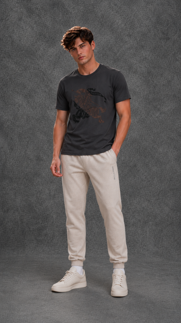 Polo Ralph Lauren Men's Logo Half Sleeve Grey T-Shirt